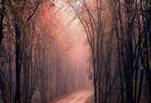 雷速体育官网：[国足]陈泽仕开场闪击 中国U19男足战平澳大利亚.