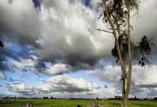 NBA上演“矛盾”巅峰对决 雷霆主场复仇骑士.