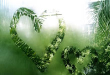 魔术6连胜送太阳4连败 吹杨19助老鹰险胜国王.