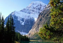 雷速体育官网：🚨疯三甜蜜16强出炉：四大赛区1号种子全晋级卫冕冠军出局.