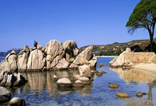 雷速体育官网：热刺又翻车 客场不敌伯恩茅斯.